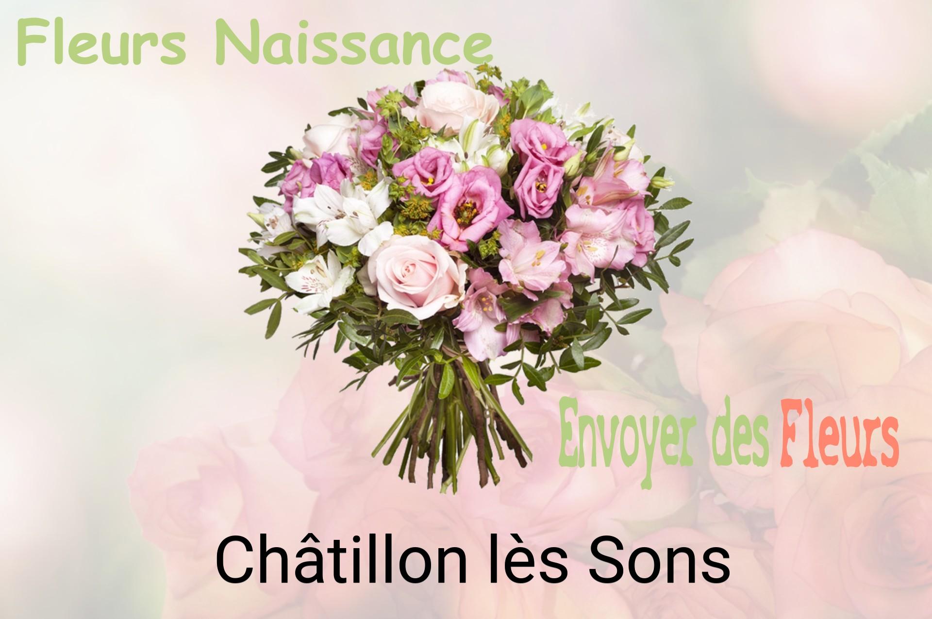 Bouquet de fleurs de naissance livré à Châtillon-lès-Sons