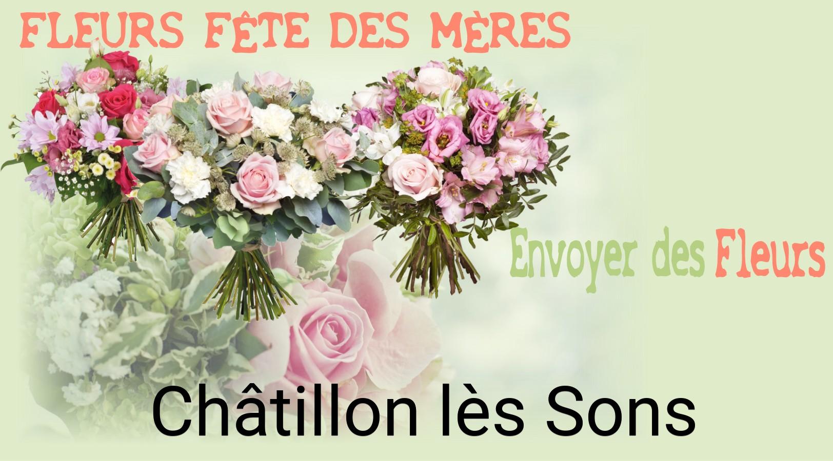 Bouquet de Fête des Mères livré à Châtillon-lès-Sons